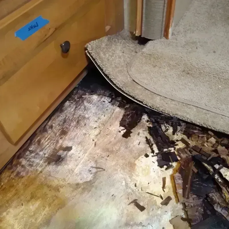 Wood Floor Water Damage in Natchez, MS